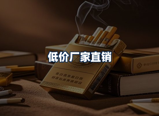 专业团队办公环境